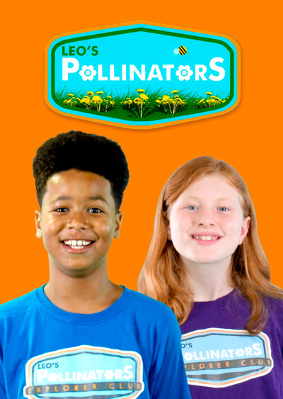 Leo's Pollinators - Primo TV